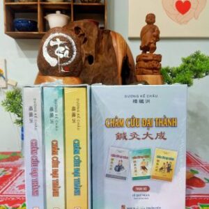 Châm Cứu Đại Thành PDF