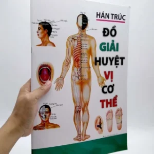 Đồ Giải Huyệt Vị Cơ Thể PDF