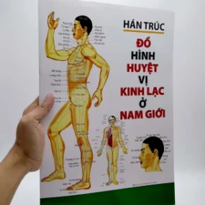 Đồ Hình Huyệt Vị Kinh Lạc Ở Nam Giới PDF