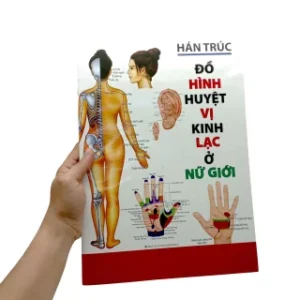 Đồ Hình Huyệt Vị Kinh Lạc Ở Nữ Giới PDF