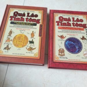 Quản Lão Tinh Tông PDF