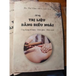 Sổ Tay Trị Liệu Bằng Điếu Ngải PDF