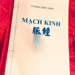 Mạch Kinh Danh Y Vương Thúc Hòa PDF