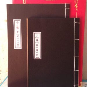 Cốt Lô Hương An Tâm Tượng PDF