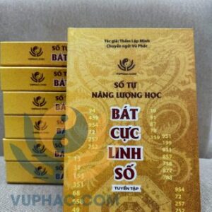 Số Tự Năng Lượng Học Bát Cực Linh Số PDF