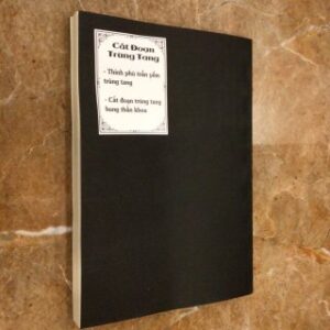 Thỉnh phù trấn yểm trùng tang PDF