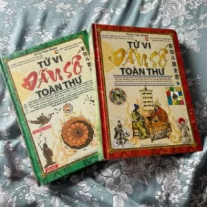 Tử Vi Đẩu Số Toàn Thư (Trọn Bộ 2 Cuốn) PDF