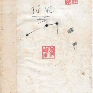 Tử Vi Cổ Học Chép Tay PDF