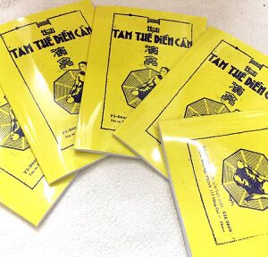 Tam Thế Diễn Cầm PDF